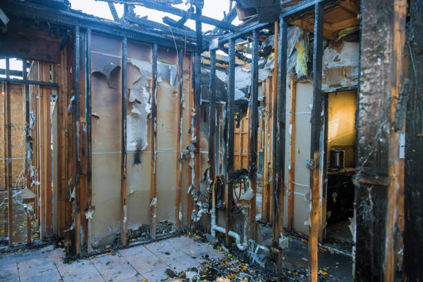 Professional Fire Damage Assessment technician working in Gateway, AK